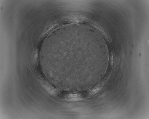 X0000086240314200703291402