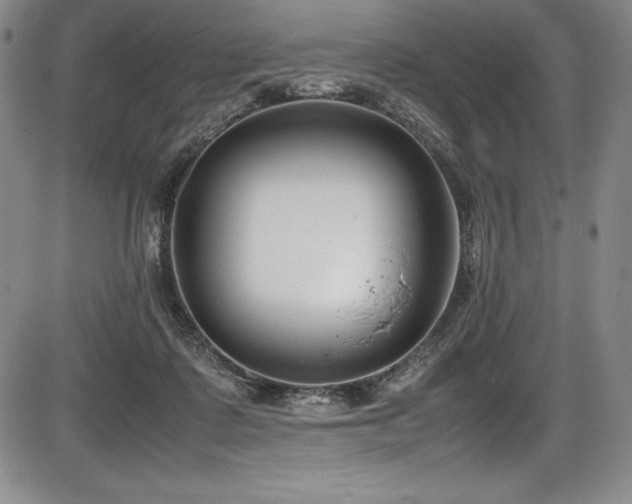X0000086240315200703291402