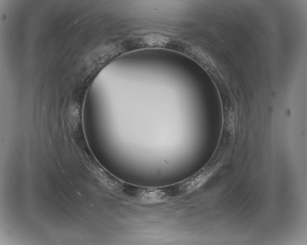 X0000086240321200703291402