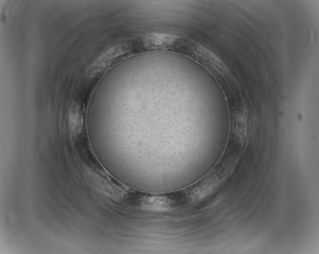 X0000086240324200703291402