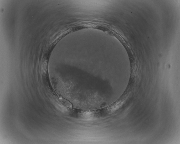 X0000086240325200703291402