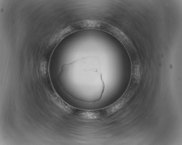 X0000086240326200703291402