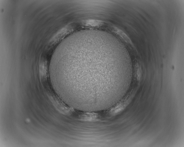 X0000086240328200703291402