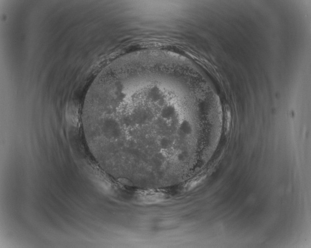 X0000086240331200703291402