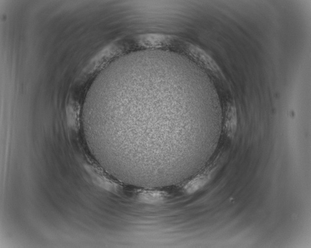 X0000086240332200703291402