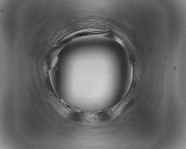 X0000086240333200703291402