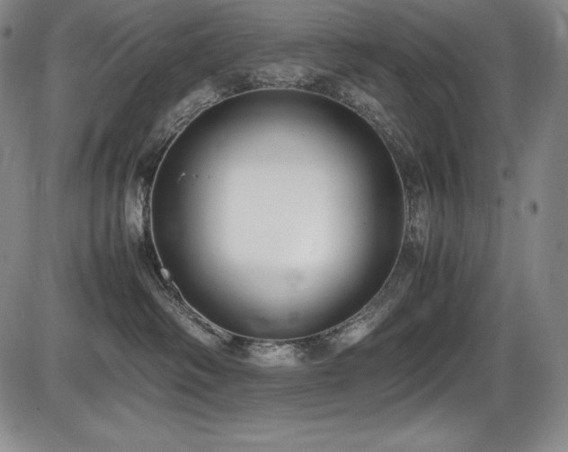 X0000086240334200703291402