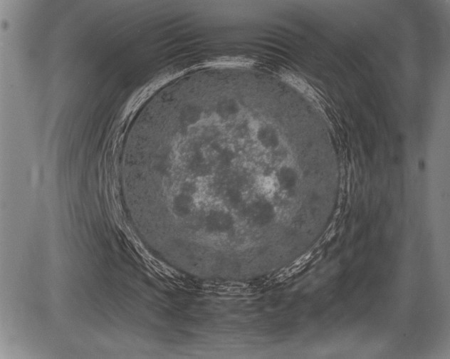 X0000086240337200703291401