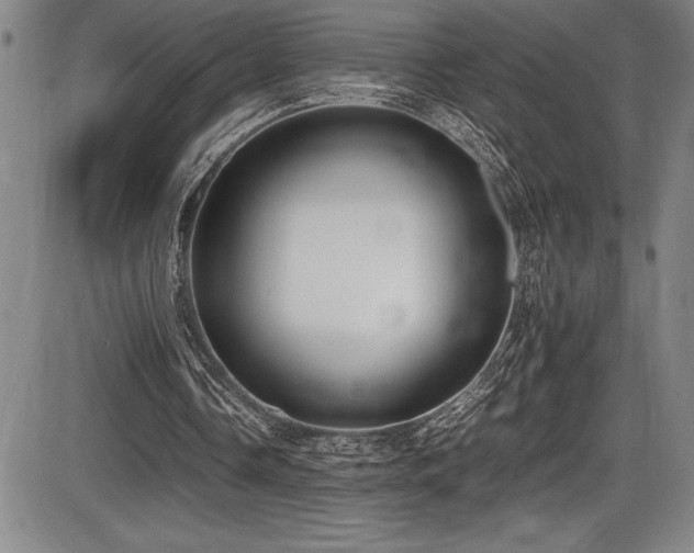 X0000086240338200703291401