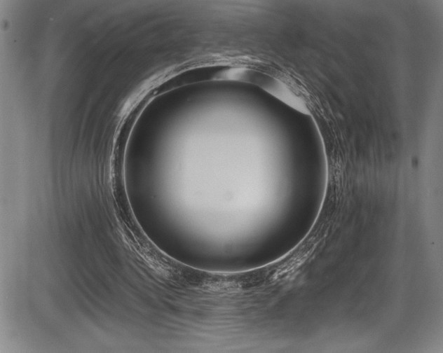 X0000086240340200703291401
