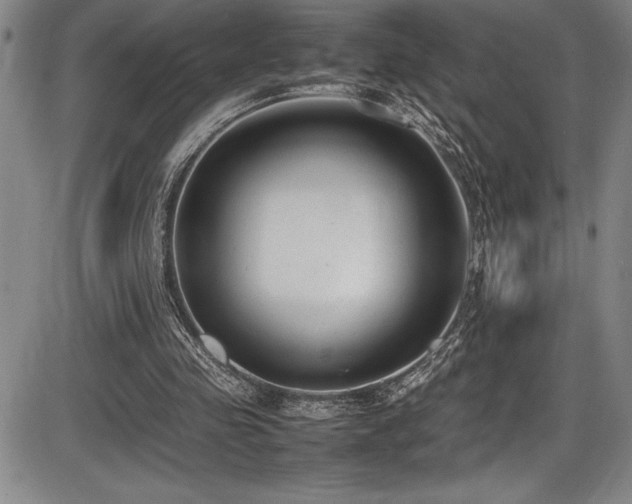 X0000086240341200703291401