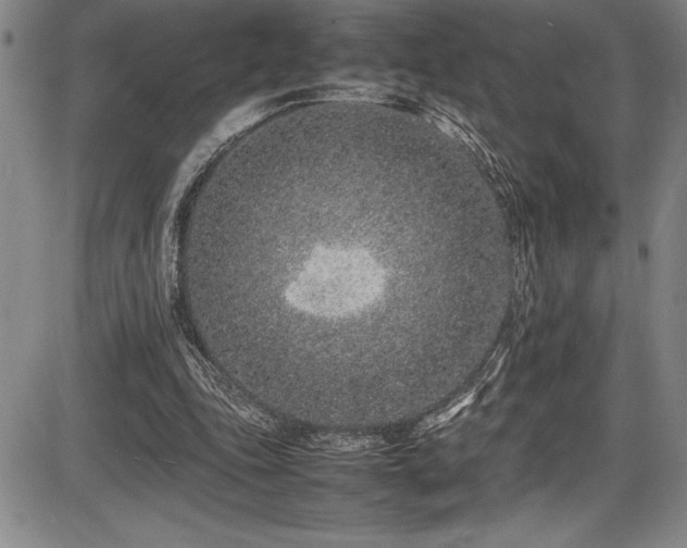 X0000086240343200703291401