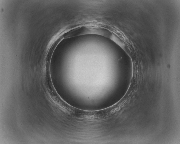 X0000086240344200703291401