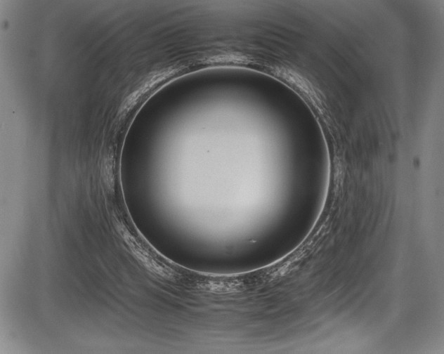 X0000086240345200703291401