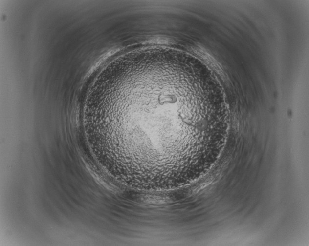 X0000086240347200703291401