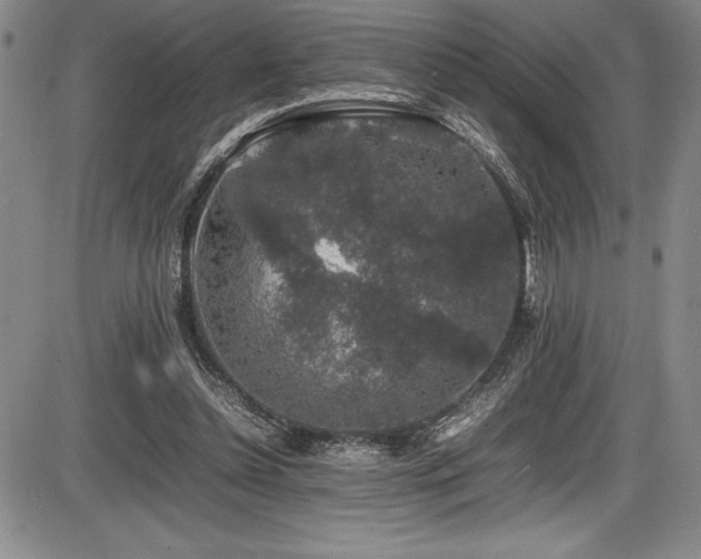 X0000086240348200703291401