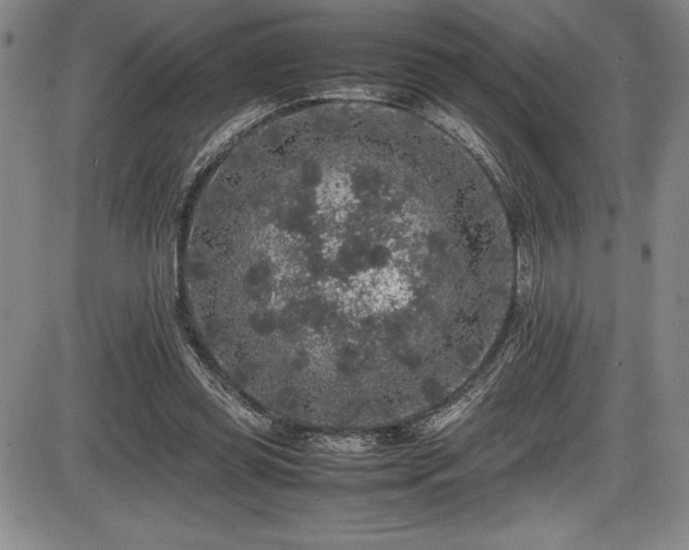 X0000086240349200703291401