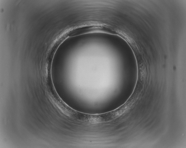 X0000086240350200703291401