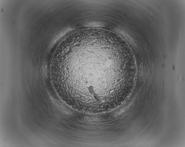 X0000086240351200703291401