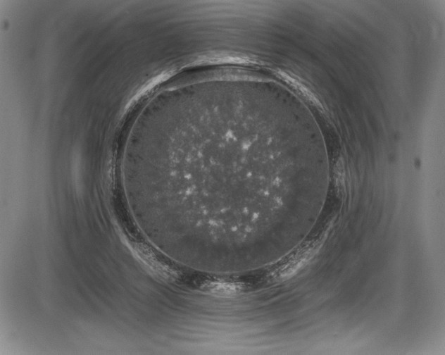 X0000086240352200703291401