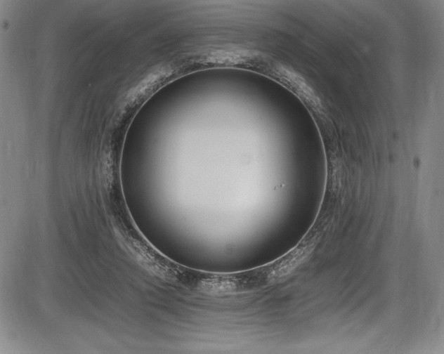 X0000086240354200703291401
