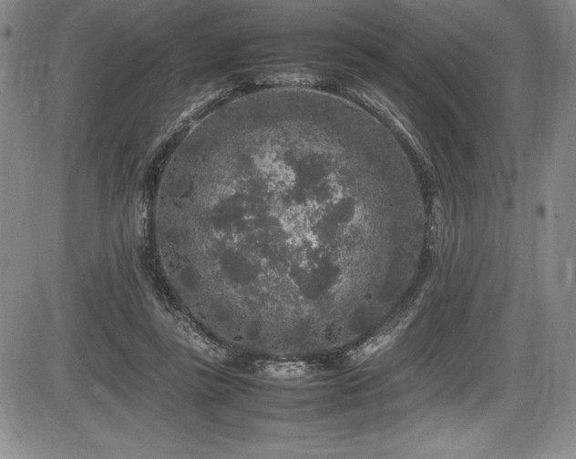 X0000086240355200703291401