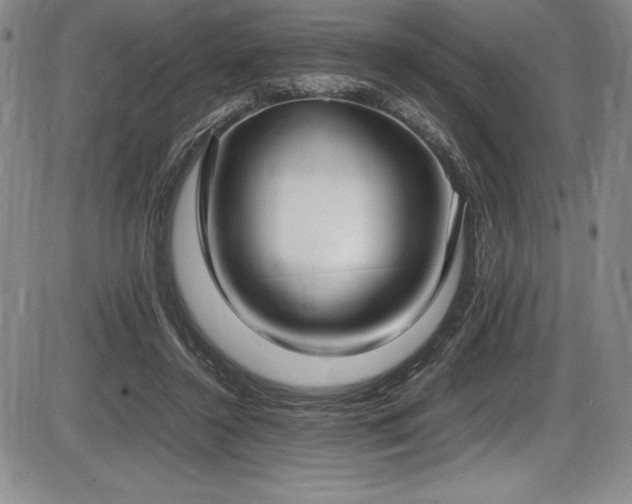 X0000086240356200703291401