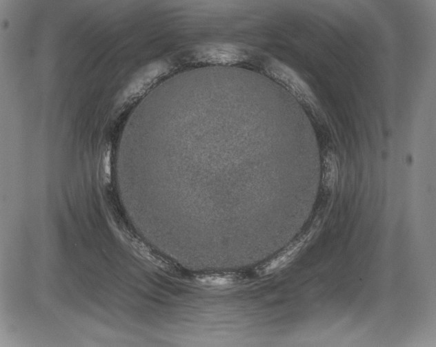 X0000086240358200703291401