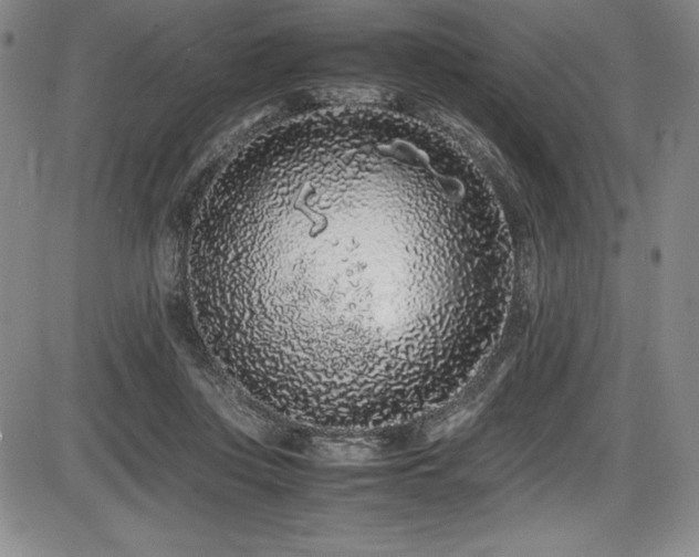 X0000086240359200703291401
