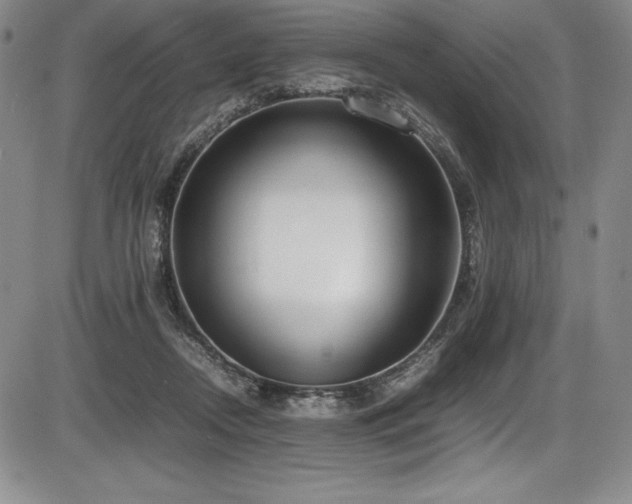 X0000086240362200703291401