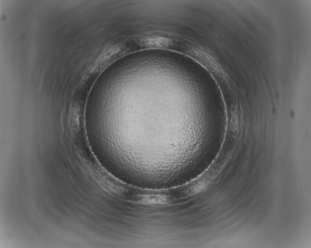 X0000086240363200703291401