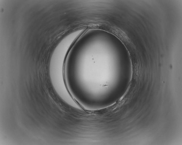 X0000086240364200703291401