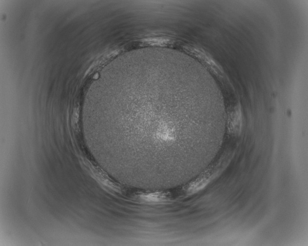 X0000086240365200703291401