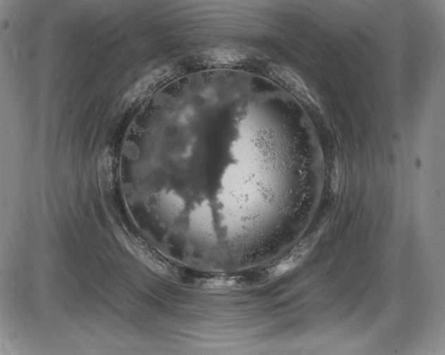 X0000086240366200703291401