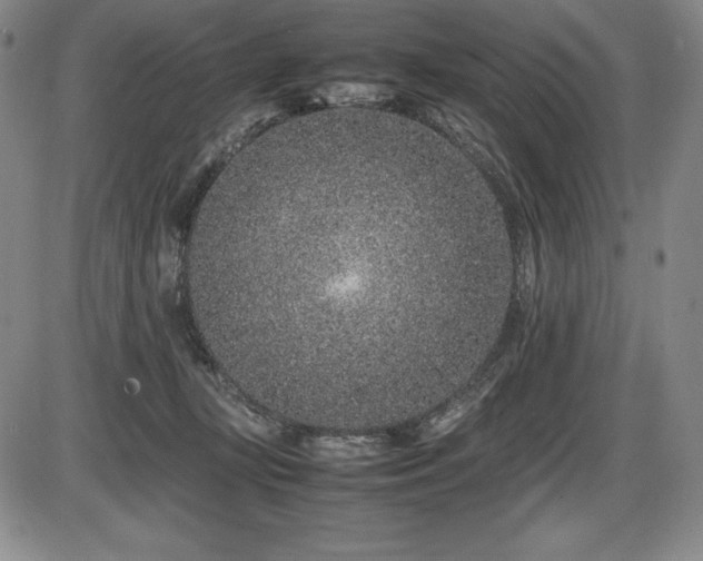 X0000086240367200703291401
