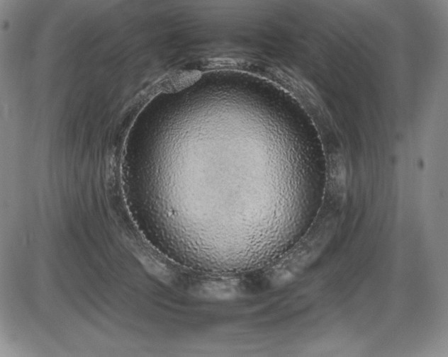 X0000086240369200703291401