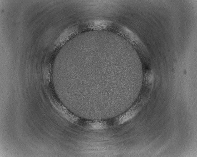 X0000086240370200703291401