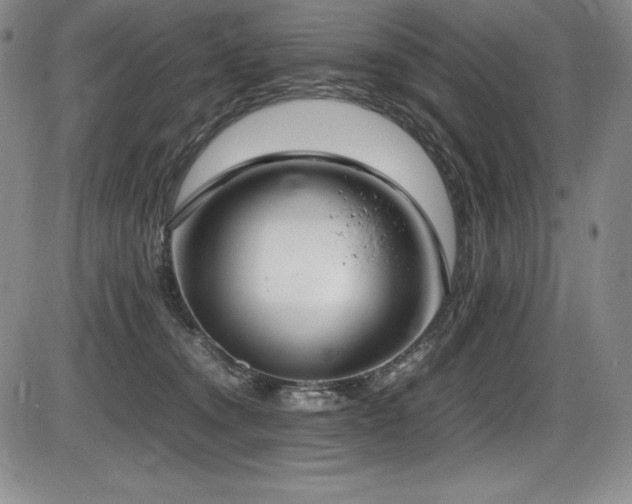 X0000086240372200703291401