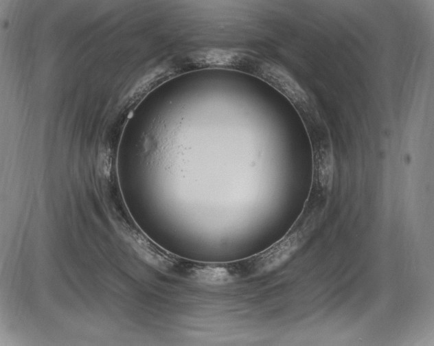 X0000086240374200703291401