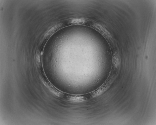 X0000086240375200703291401