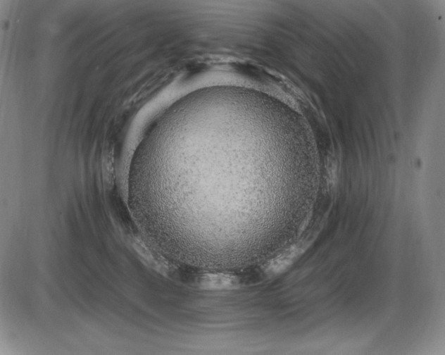 X0000086240376200703291401
