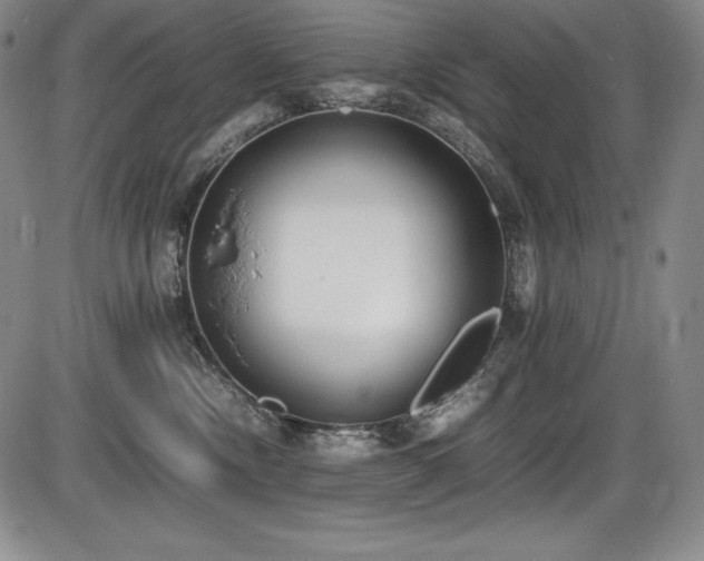 X0000086240378200703291401