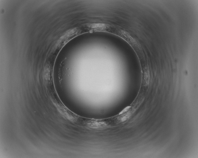 X0000086240379200703291401