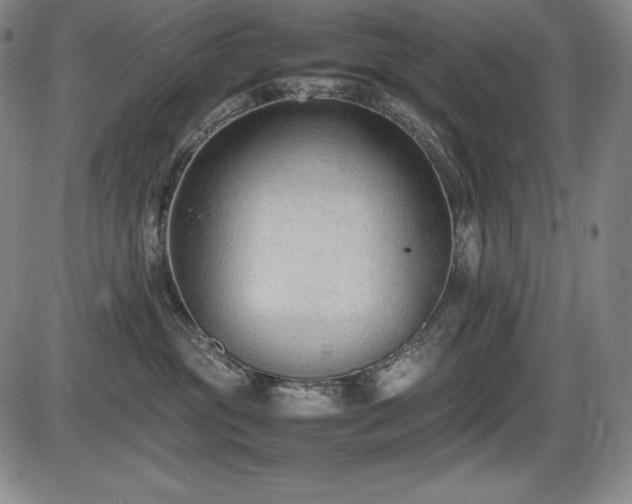 X0000086240381200703291401