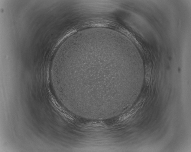 X0000086240386200703291401