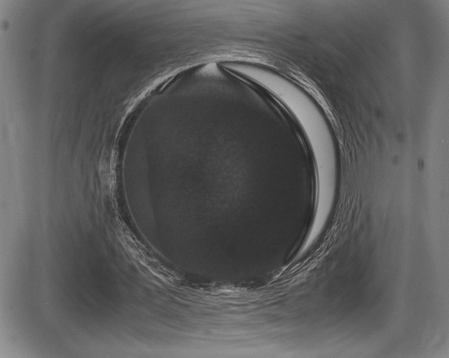 X0000086240387200703291401