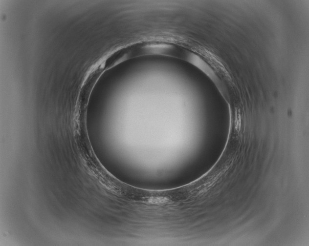 X0000086240388200703291401