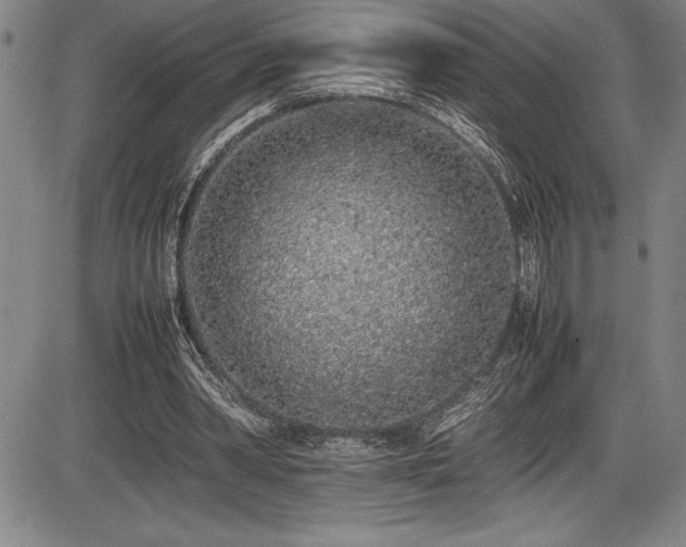 X0000086240390200703291401