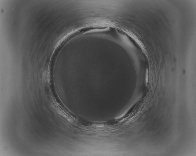 X0000086240391200703291401