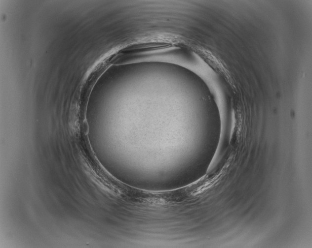 X0000086240392200703291401